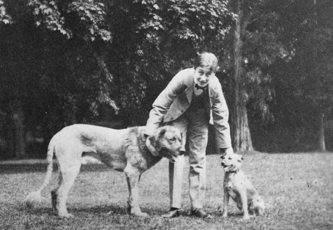 How Man's Best Friend has been a Key Partner Throughout the Ages