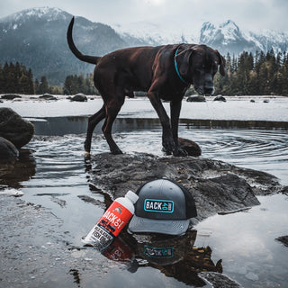 The Foundations of Wild Alaskan Fish Oil for Your Dog