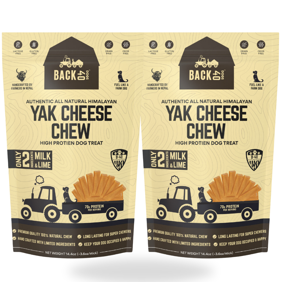 Himalayan Yak Cheese Chew - Large, 4 Pack