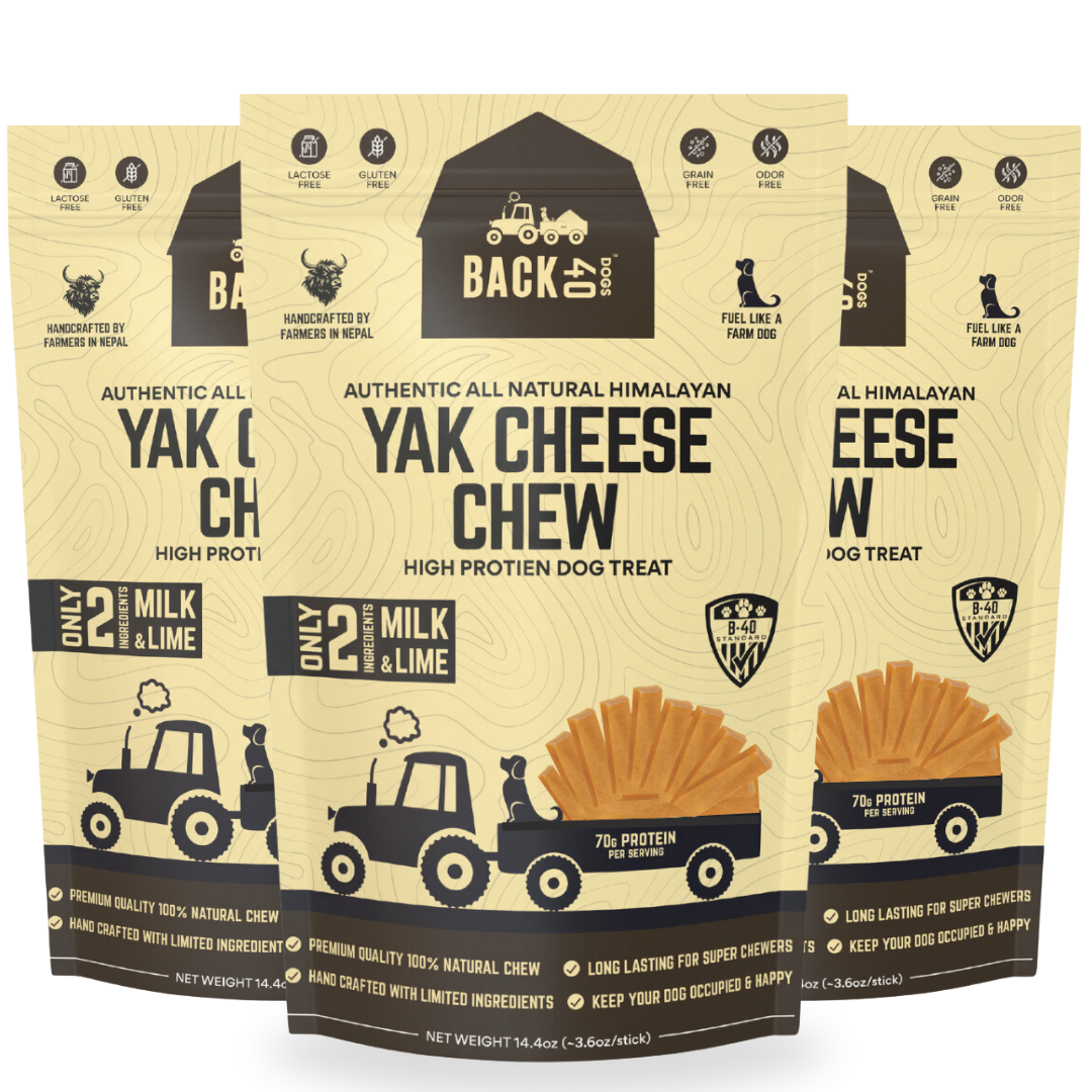 Himalayan Yak Cheese Chew - Large, 4 Pack