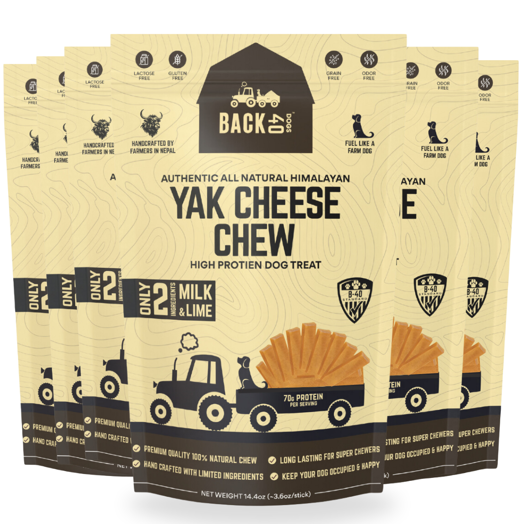 Himalayan Yak Cheese Chew - Large, 4 Pack
