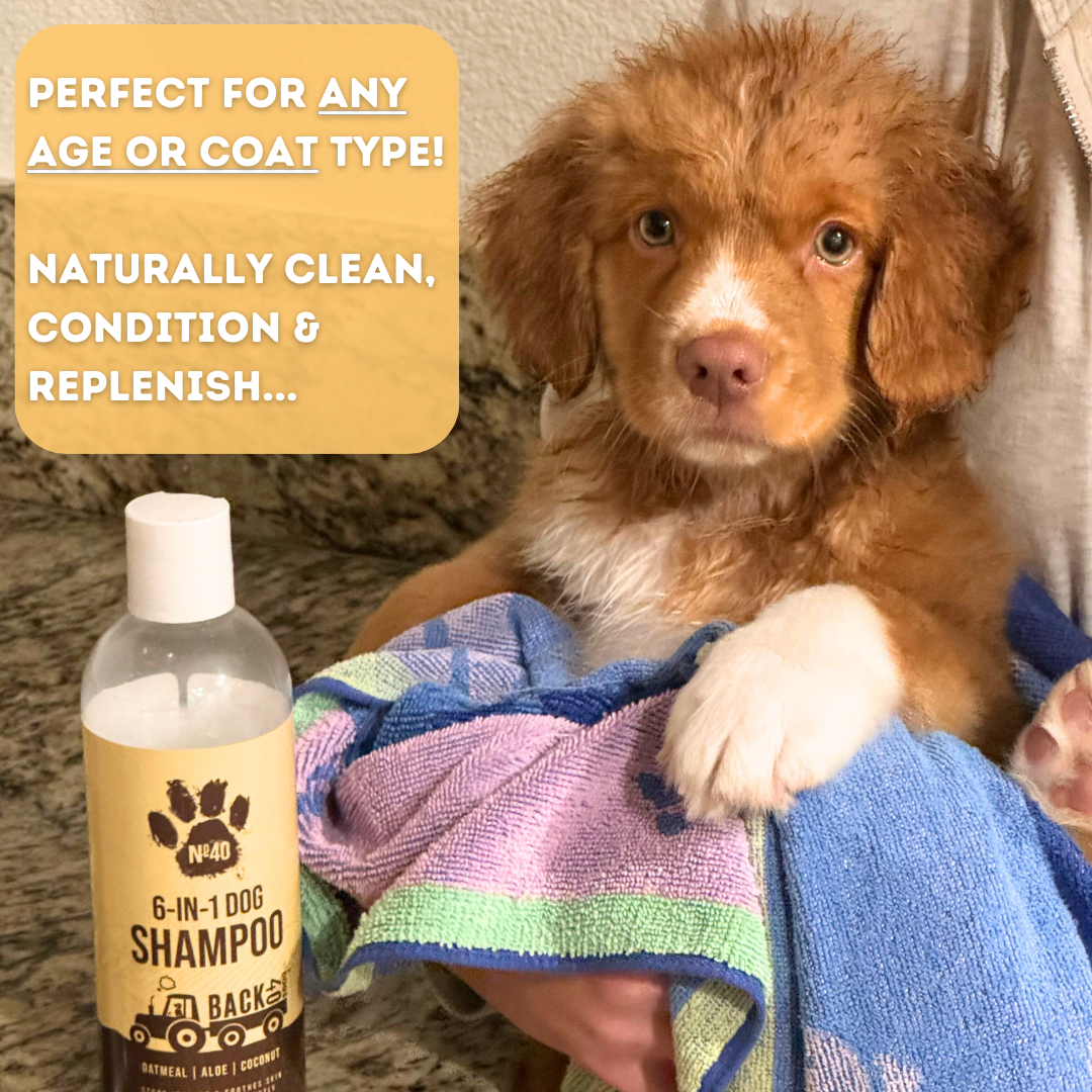 No. 40 Premium 6 in 1 Dog Shampoo Bundle (3 Bottles)