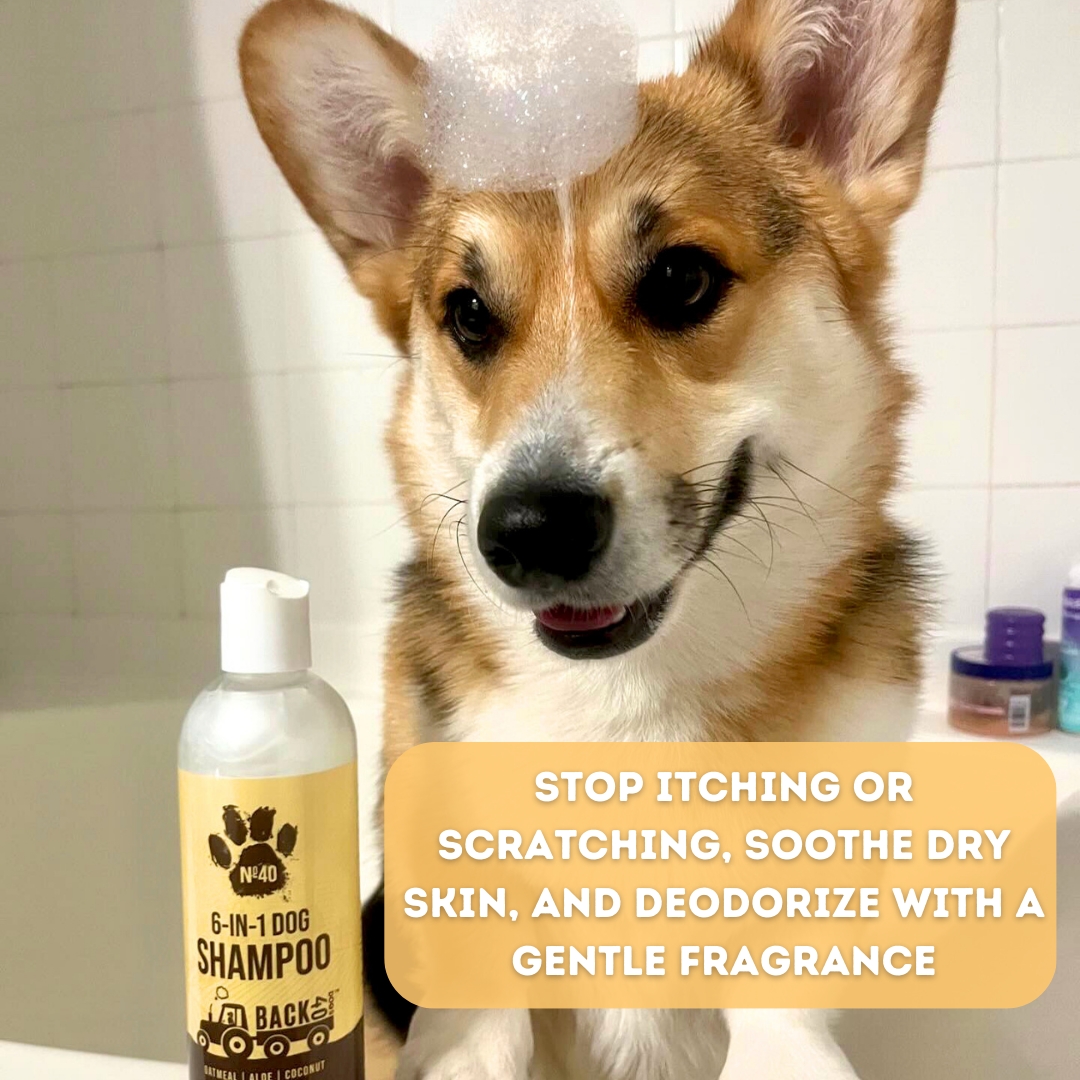 No. 40 Premium 6 in 1 Dog Shampoo Bundle (3 Bottles)