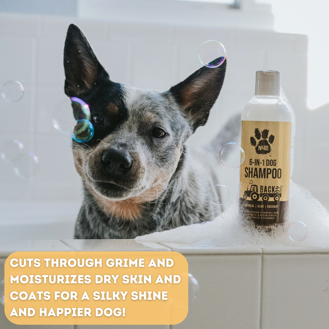 No. 40 Premium 6 in 1 Dog Shampoo Bundle (3 Bottles)