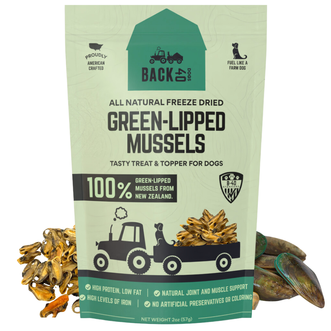 Freeze-Dried Green Lipped Mussels