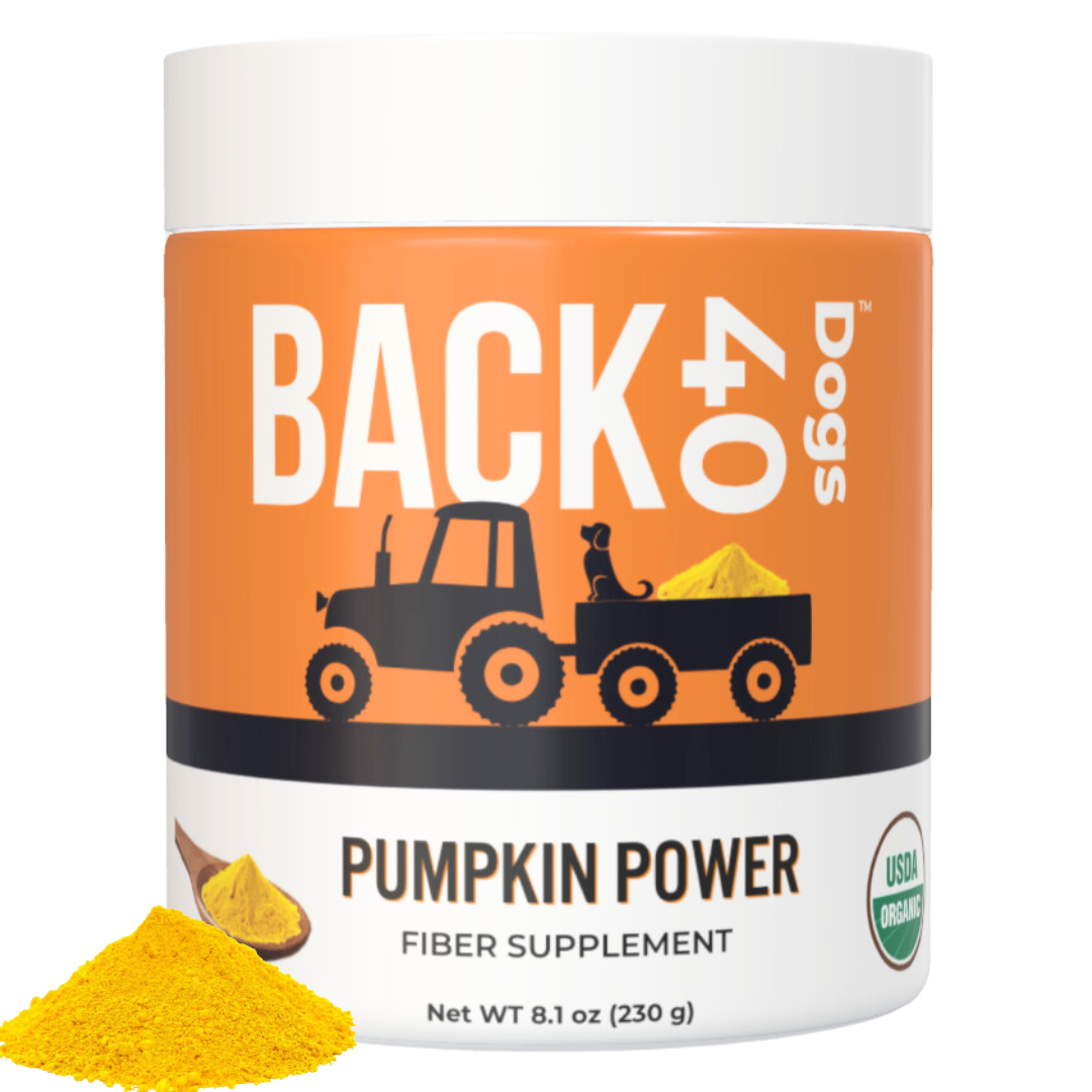 PUMPKIN POWDER