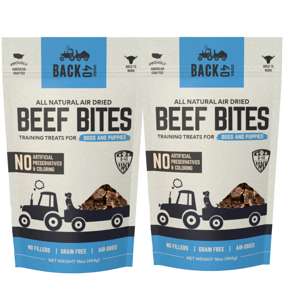BEEF BITES