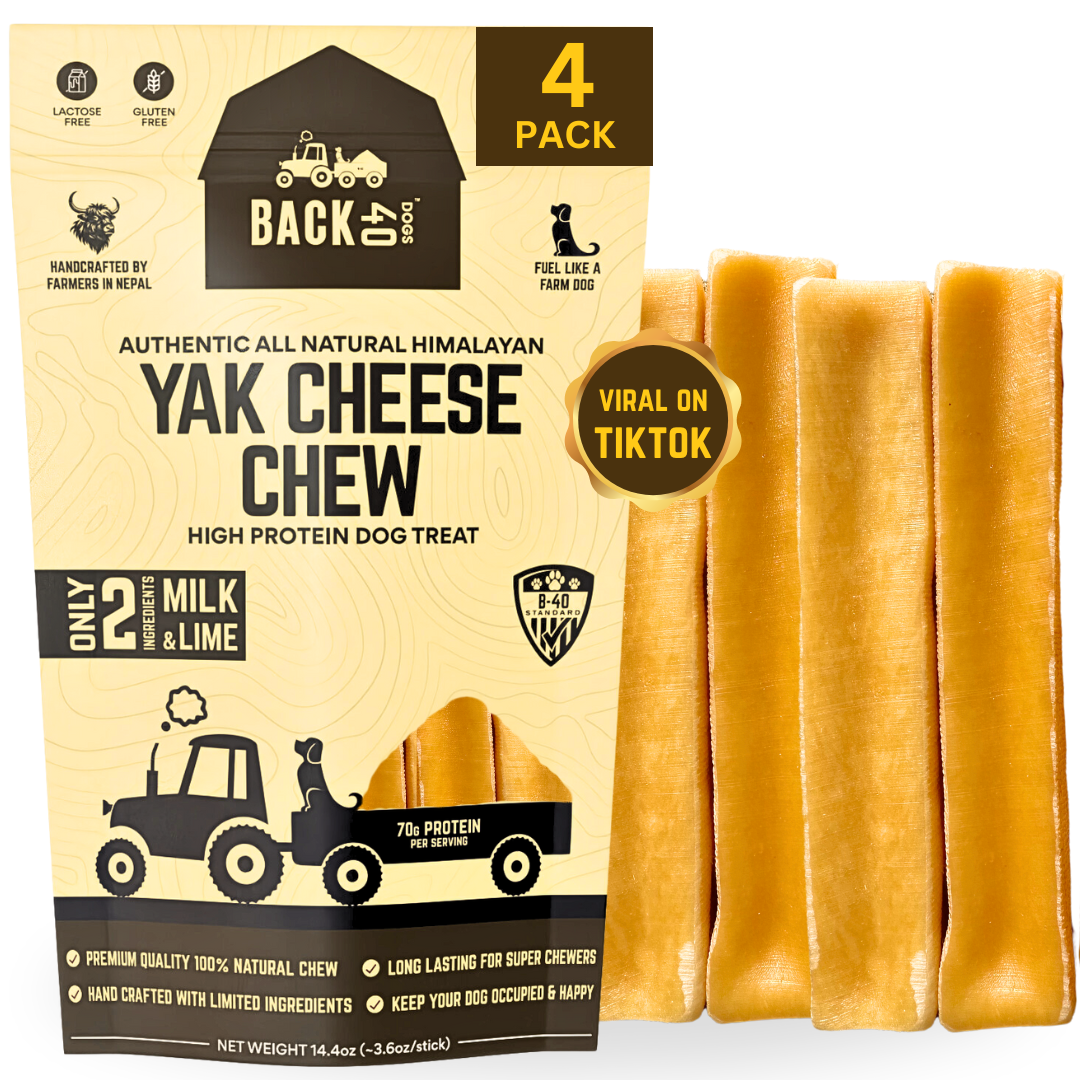 Himalayan Yak Cheese Chew - Large, 4 Pack