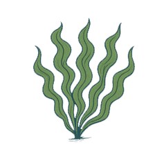 Decorative Image 4