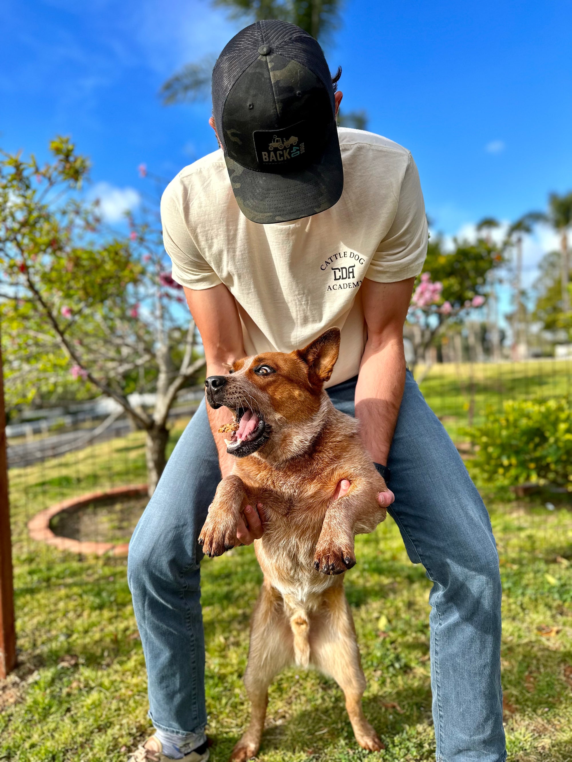 Cattle Dog T-shirt