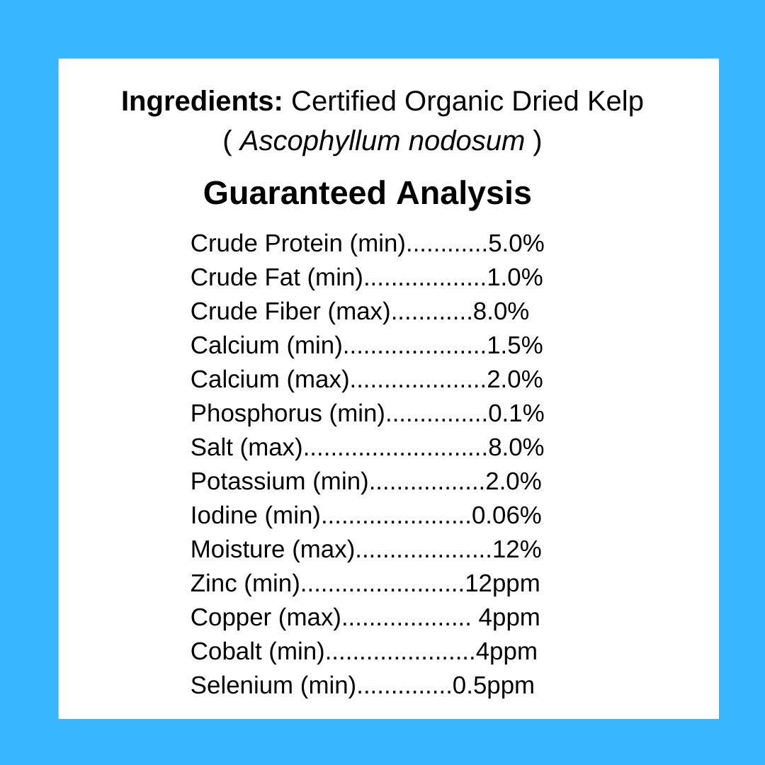KELP SUPPLEMENT