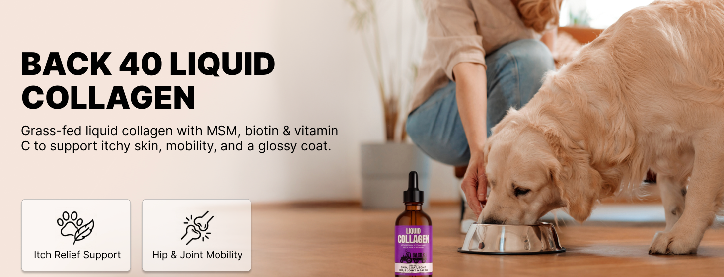 Looking for the best liquid collagen for dogs? This Won't Disappoint