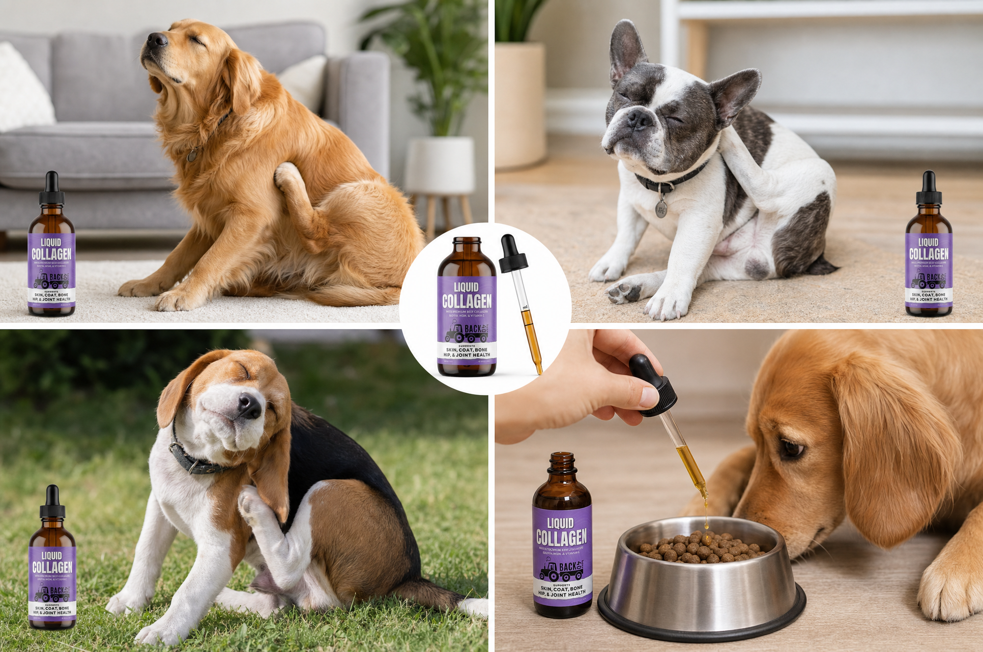 The Best Liquid Collagen for Dogs With Itchy Skin, Allergies & Food Sensitivities (2026 Guide)
