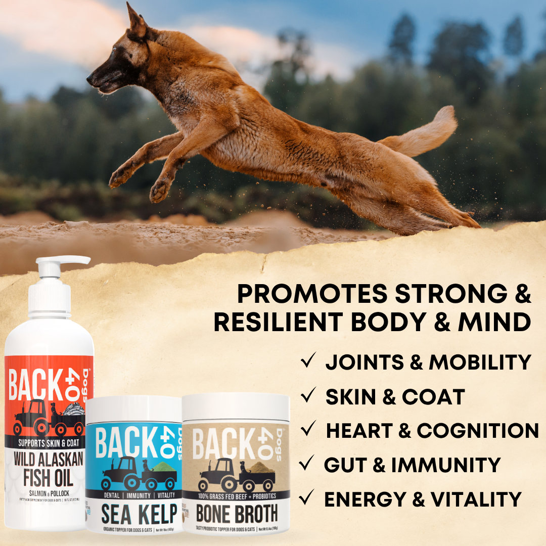 Immunity & Vitality Stack