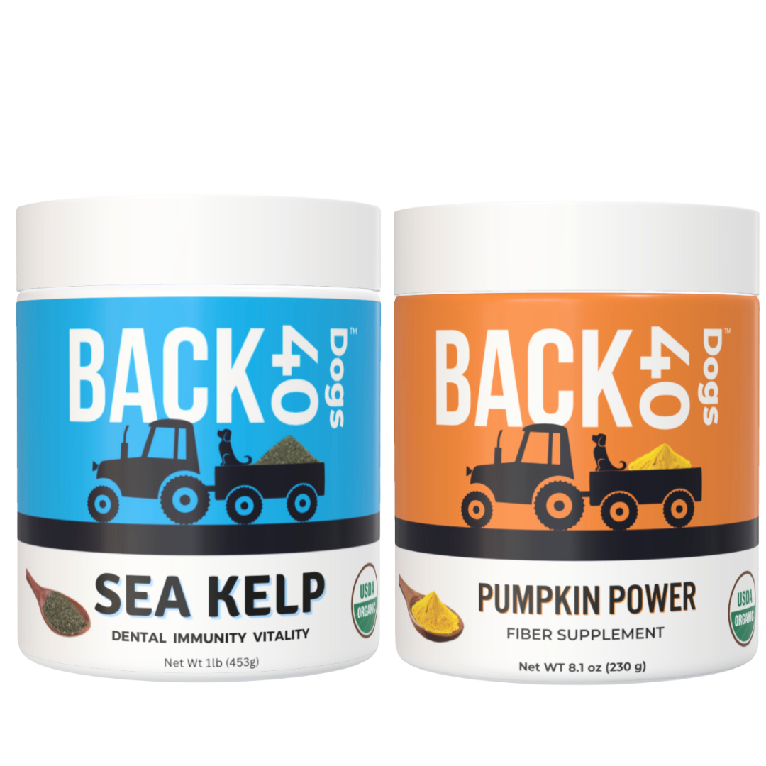 Gut & Digestion Bundle