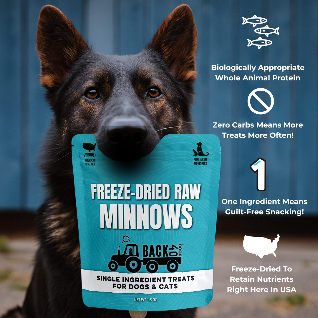 Freeze-Dried Minnows