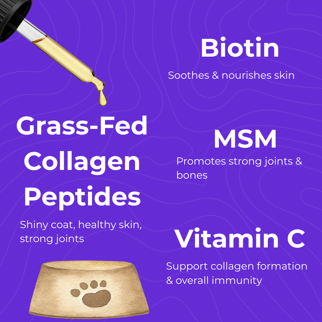 Liquid Collagen