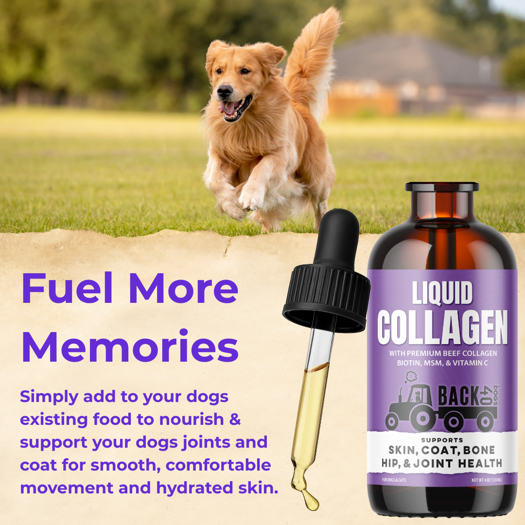 Liquid Collagen