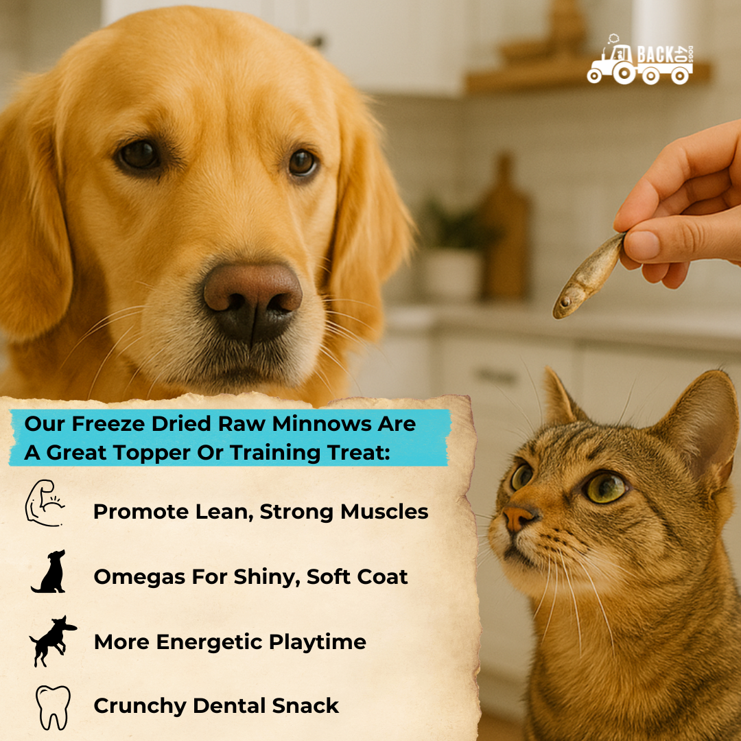 Freeze-Dried Minnows