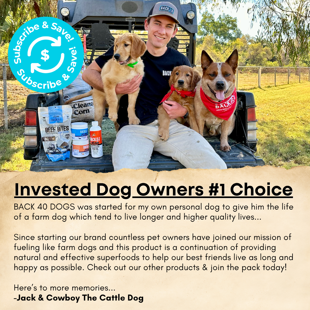 Freeze-Dried Minnows