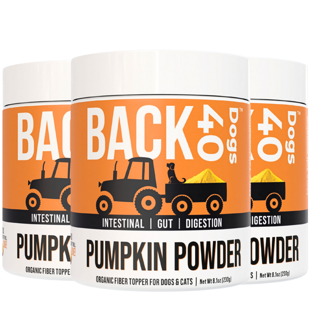 PUMPKIN POWDER