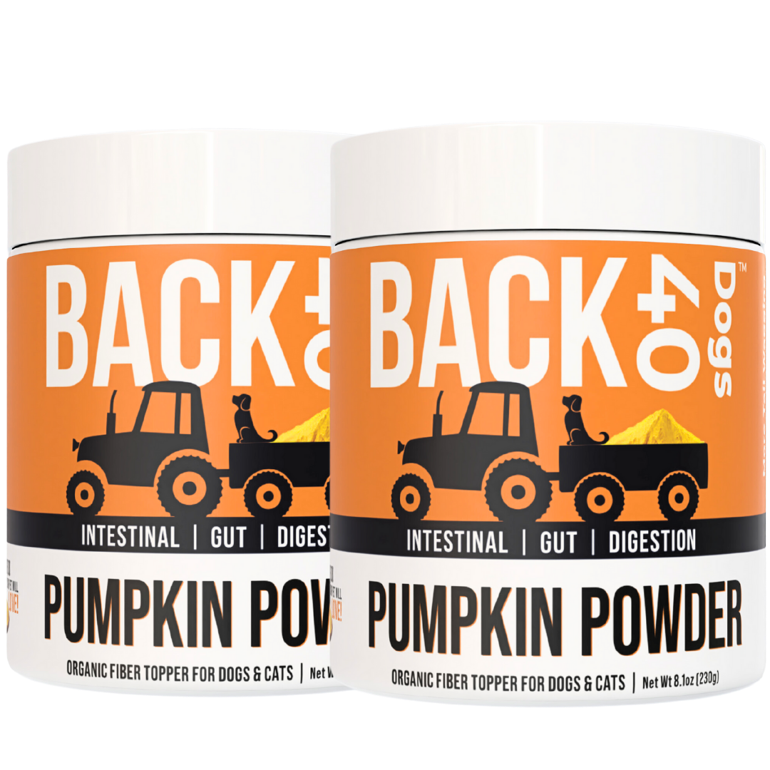 PUMPKIN POWDER