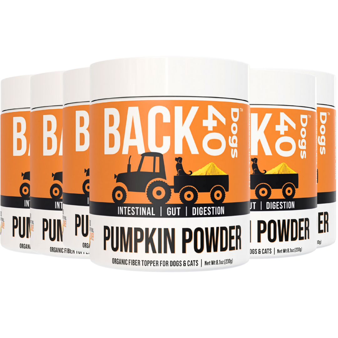 PUMPKIN POWDER