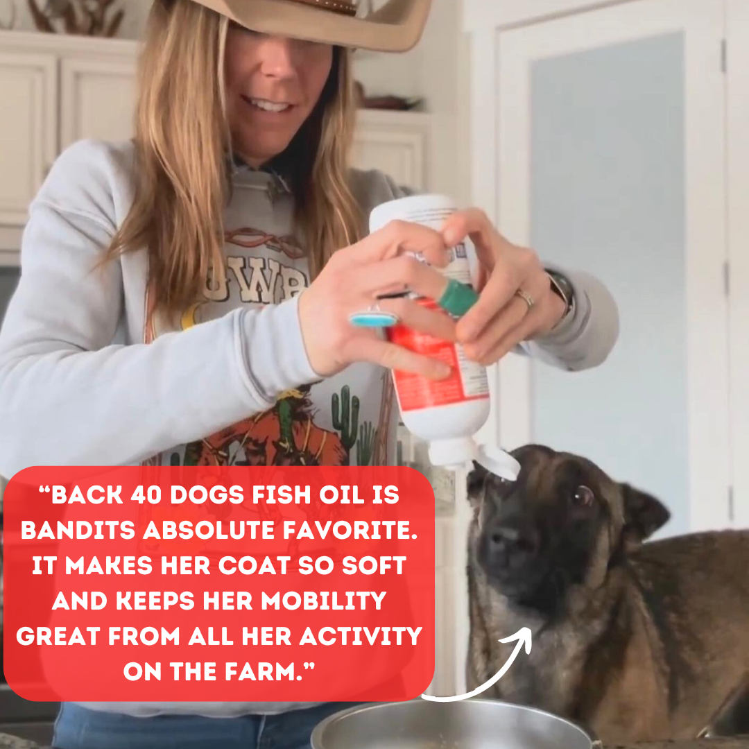 WILD ALASKAN FISH OIL
