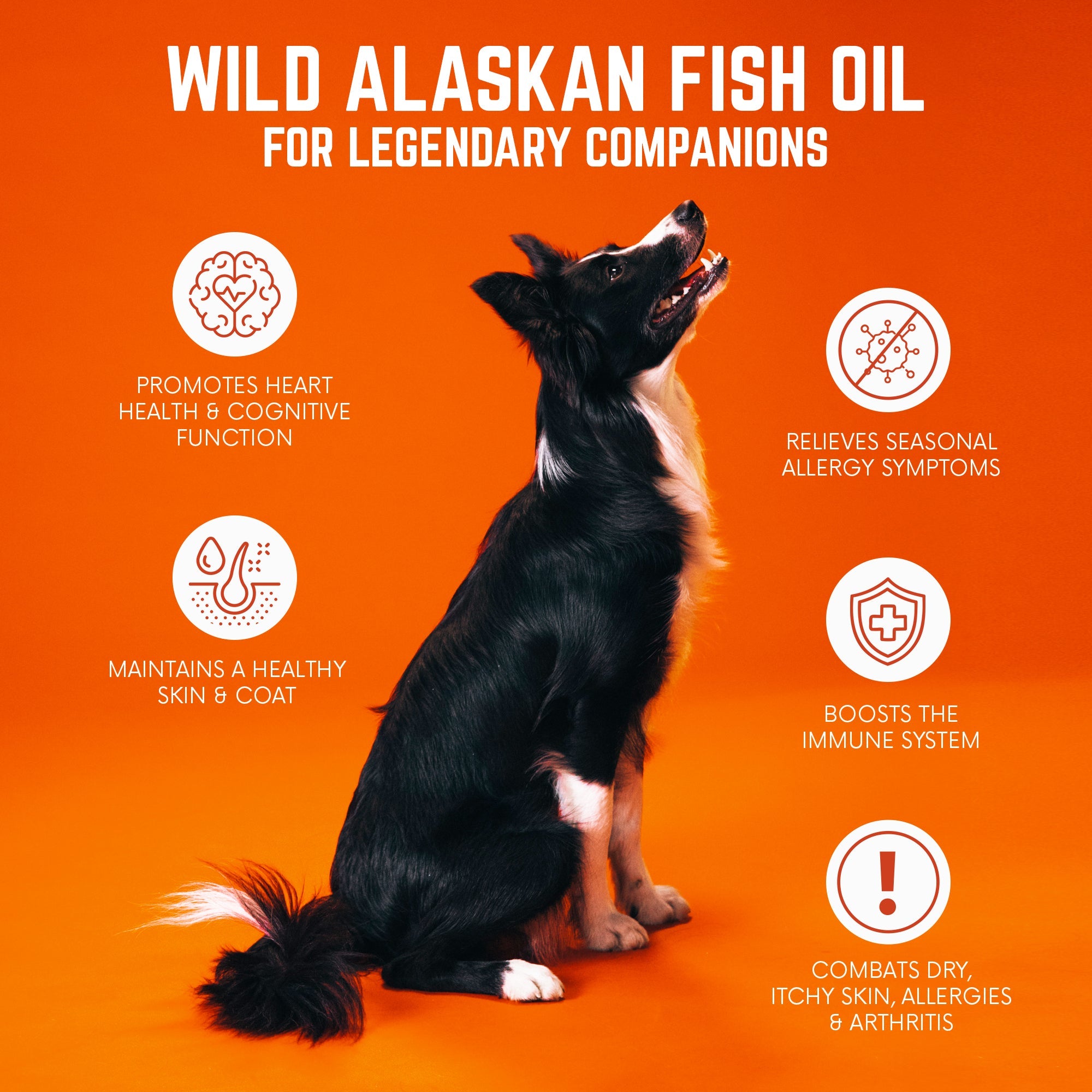 Wild Alaskan Fish Oil Bundle (3)