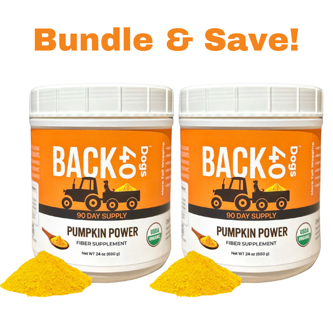 PUMPKIN POWER - 90 Day Supply Bundle (2)