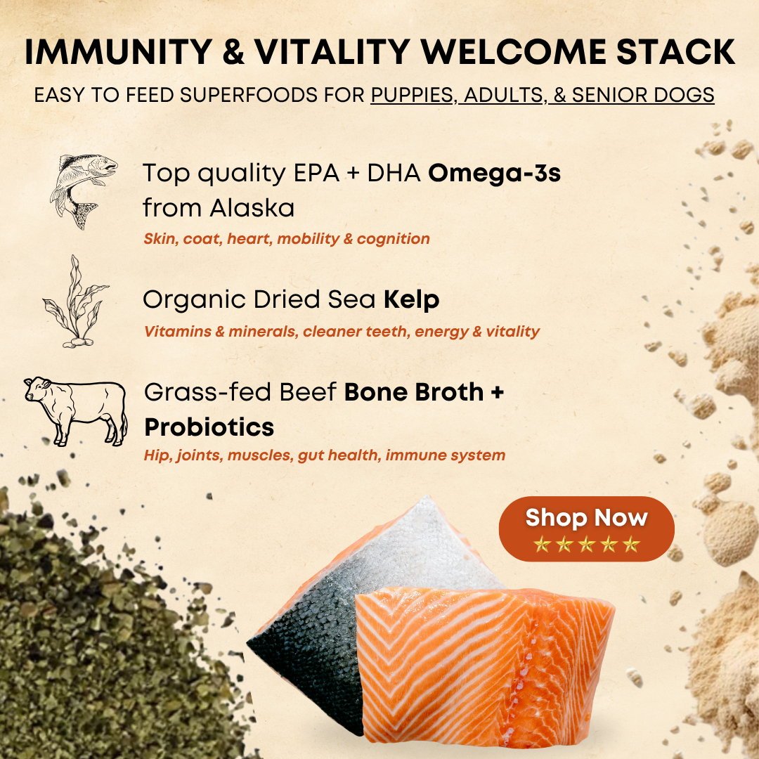 Immunity & Vitality Stack