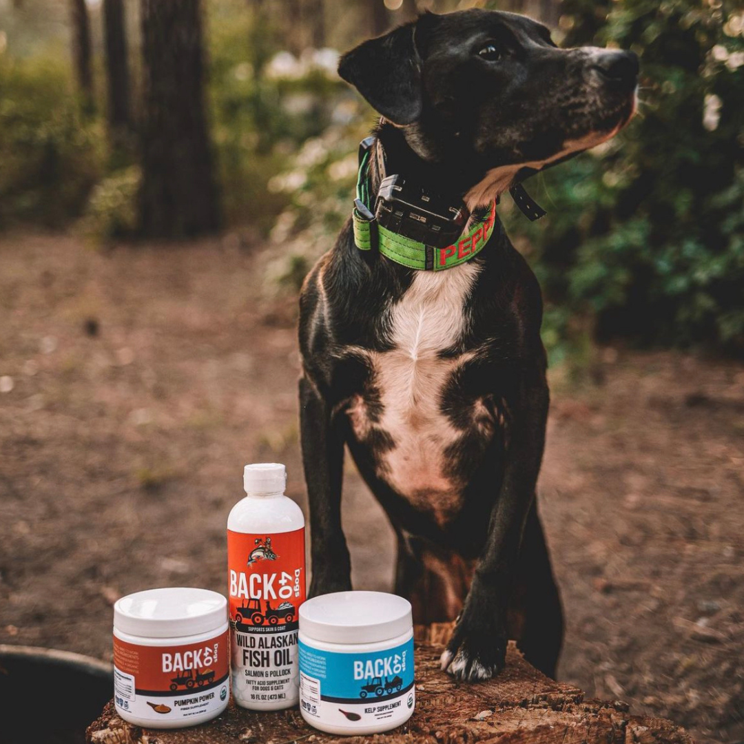 The Original Supplement Stack