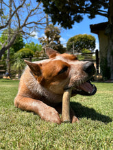 Load image into Gallery viewer, Whole Deer Antler Chew
