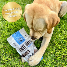 Load image into Gallery viewer, Beef Bites: All Natural Premium Air Dried Training Treats - 16oz
