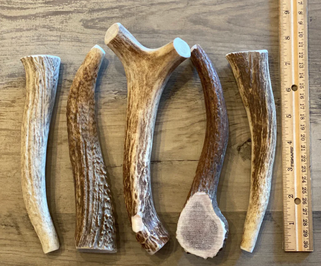 Beef Bites + Antler Chew Bundle