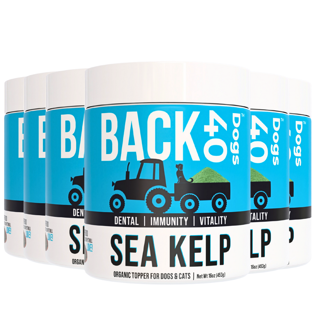 KELP SUPPLEMENT
