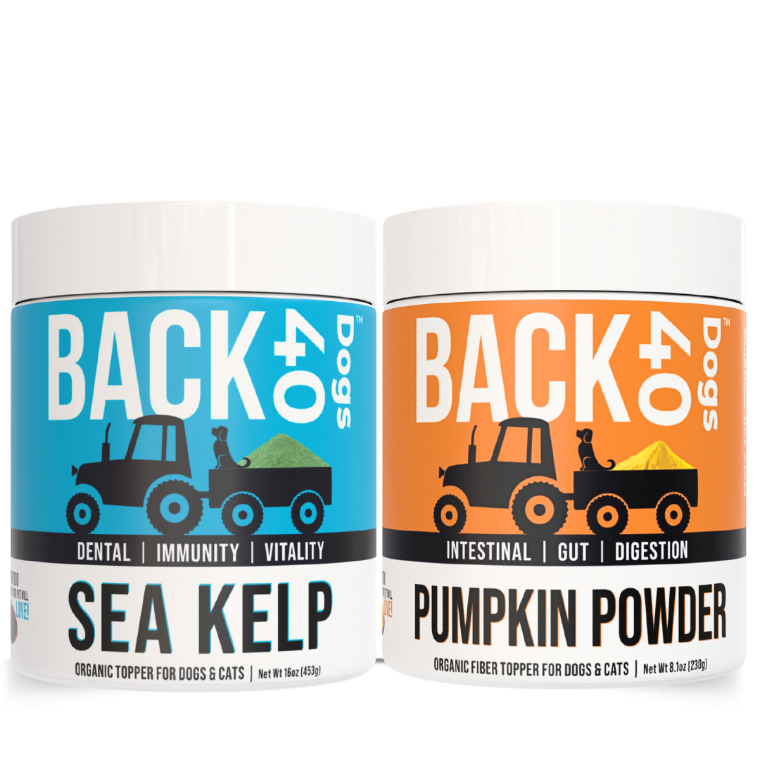 Gut & Digestion Bundle