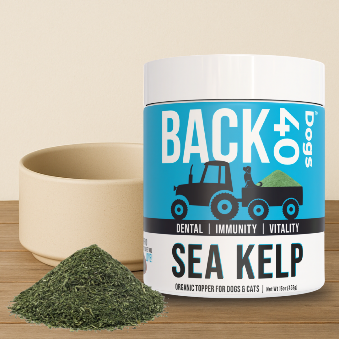 KELP SUPPLEMENT