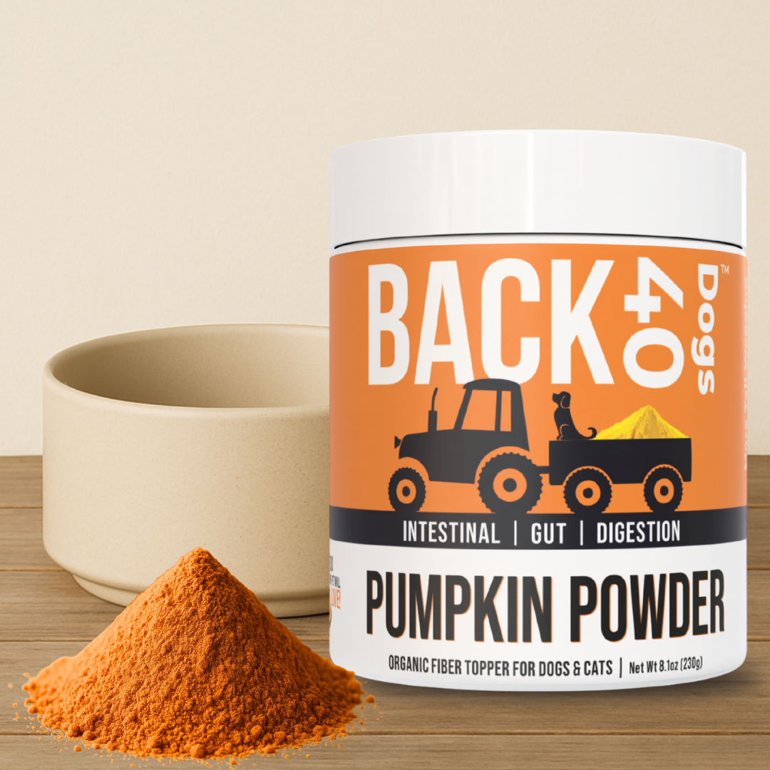 PUMPKIN POWDER