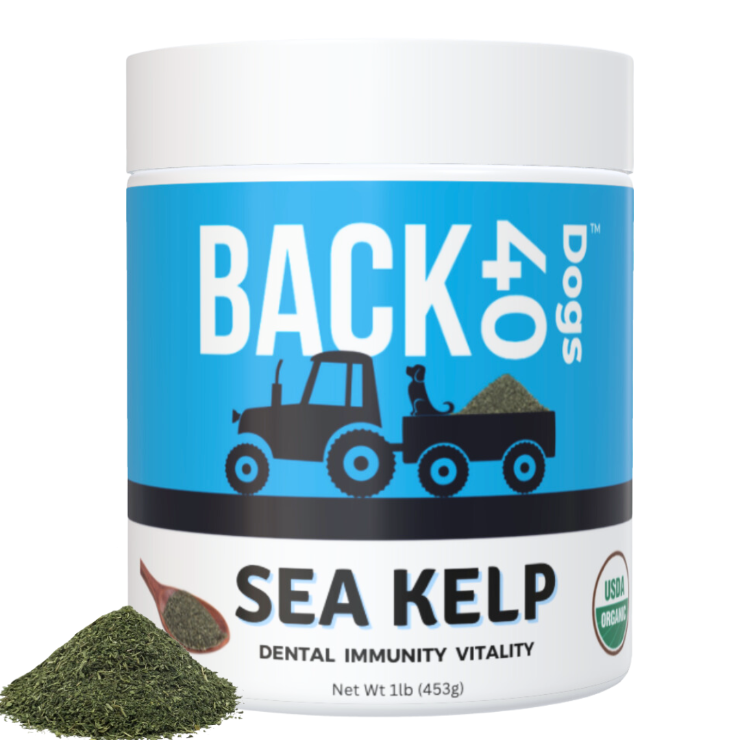 Back 40 Dogs Kelp Supplement BACK 40 Dogs