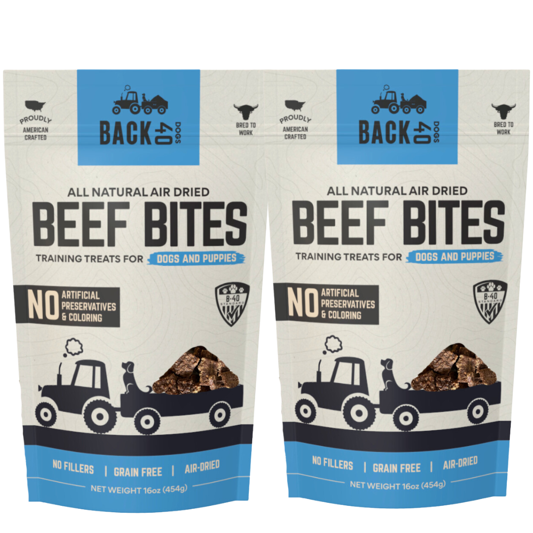 All-natural air-dried beef bites, dog training treats, no artificial preservatives, grain-free, two packages.