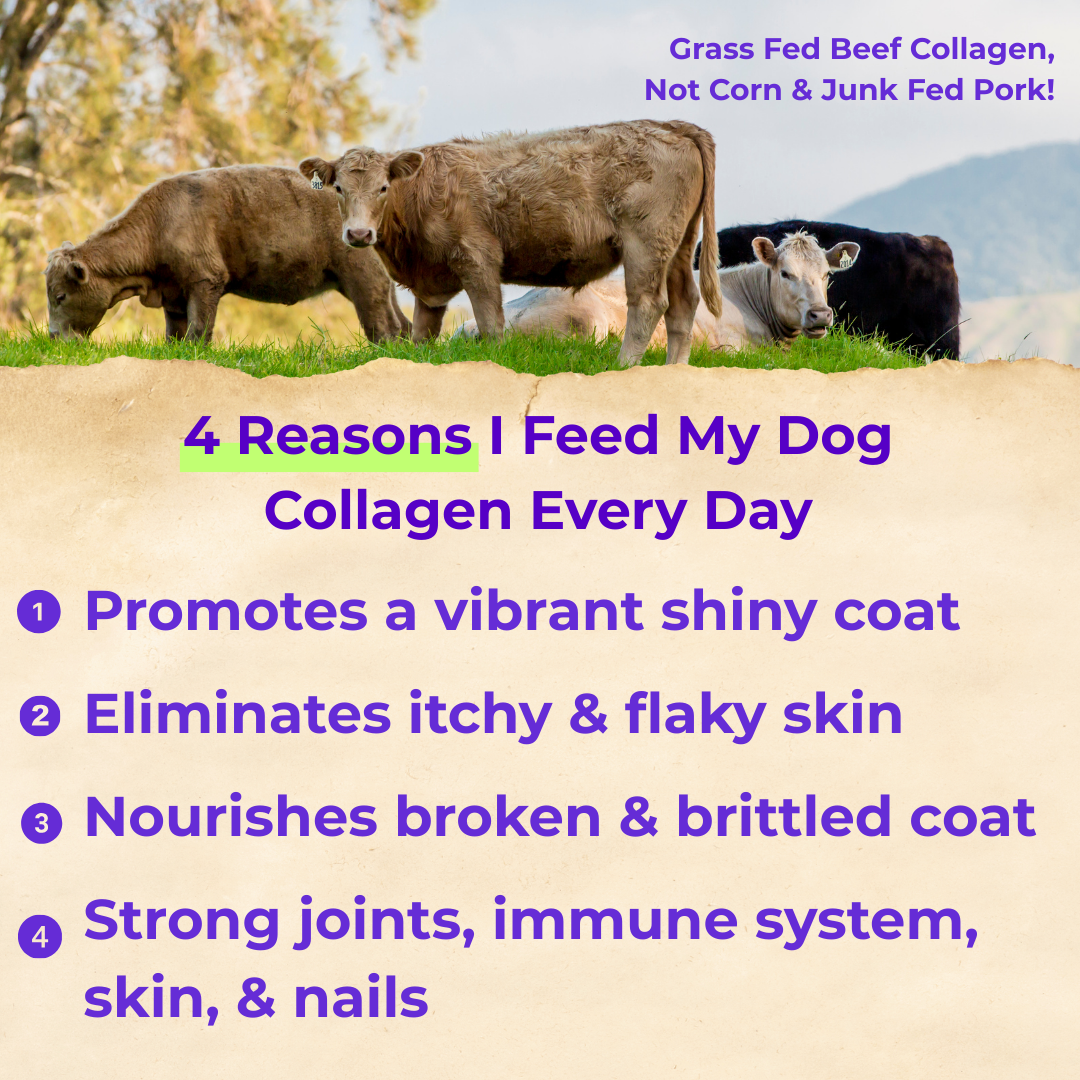 Liquid Collagen
