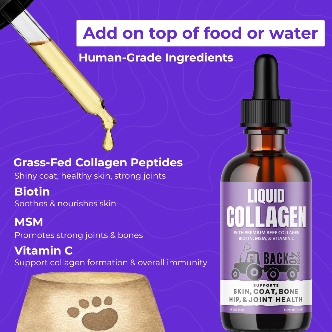 Liquid Collagen
