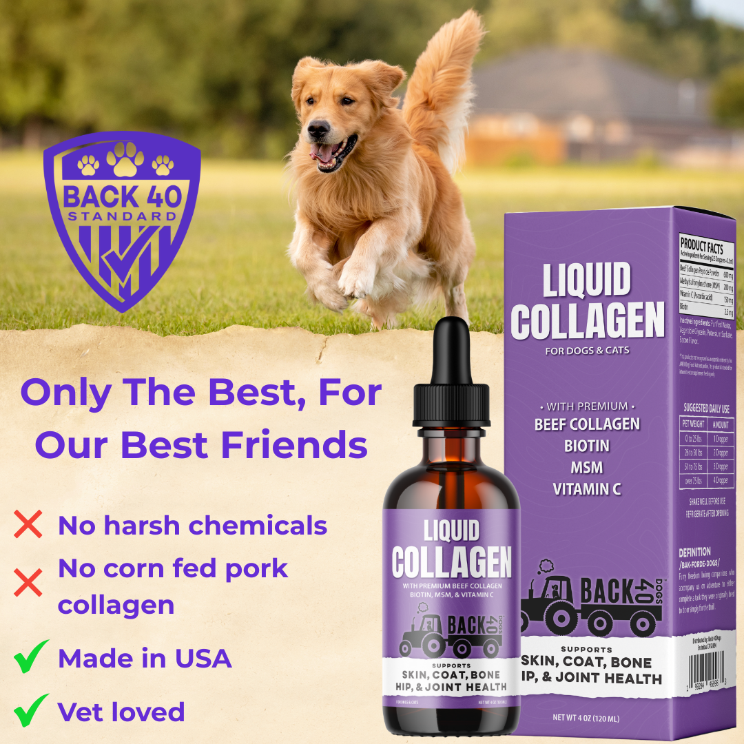 Liquid Collagen