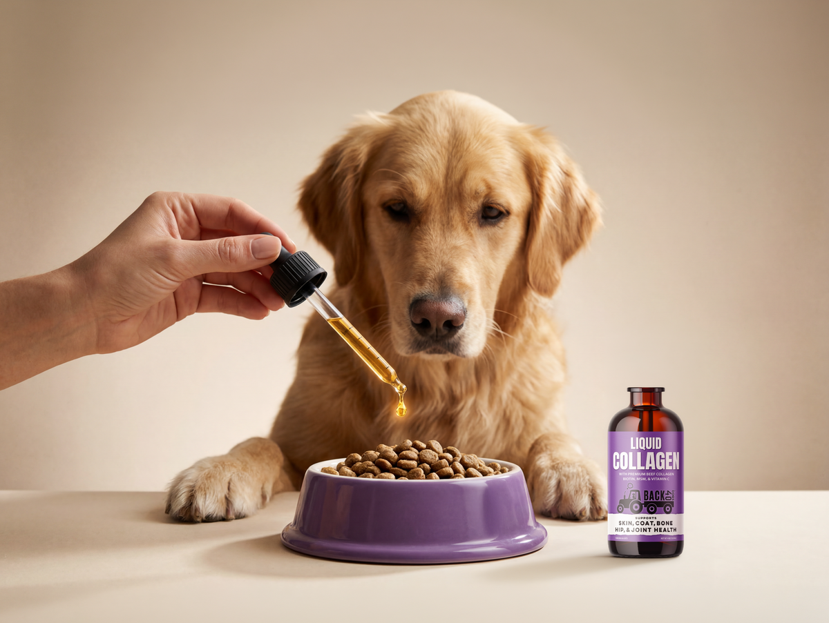 Your dog has nutrition gaps.
Back 40 fills them.