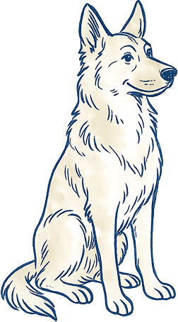 Dog Illustration