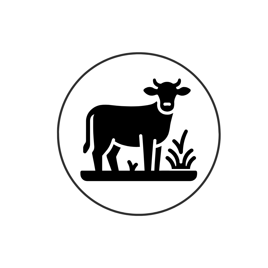 Alt Image