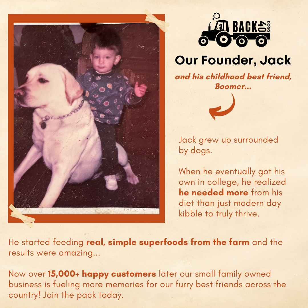 BONE BROTH PROBIOTIC