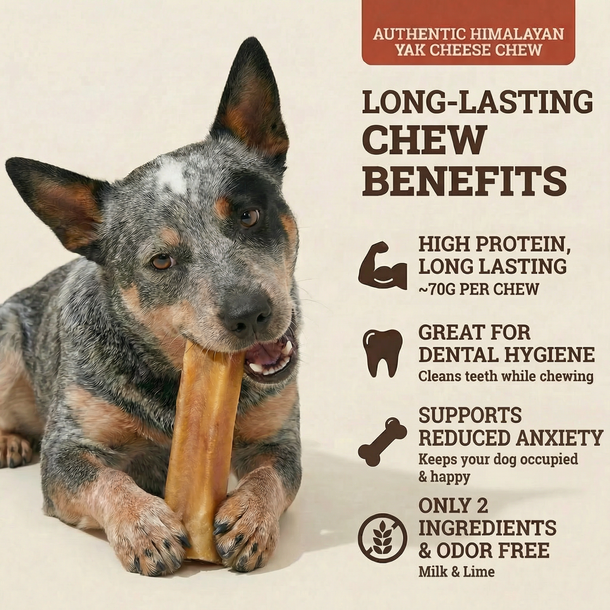 YAK CHEESE HIMALAYAN DOG CHEWS