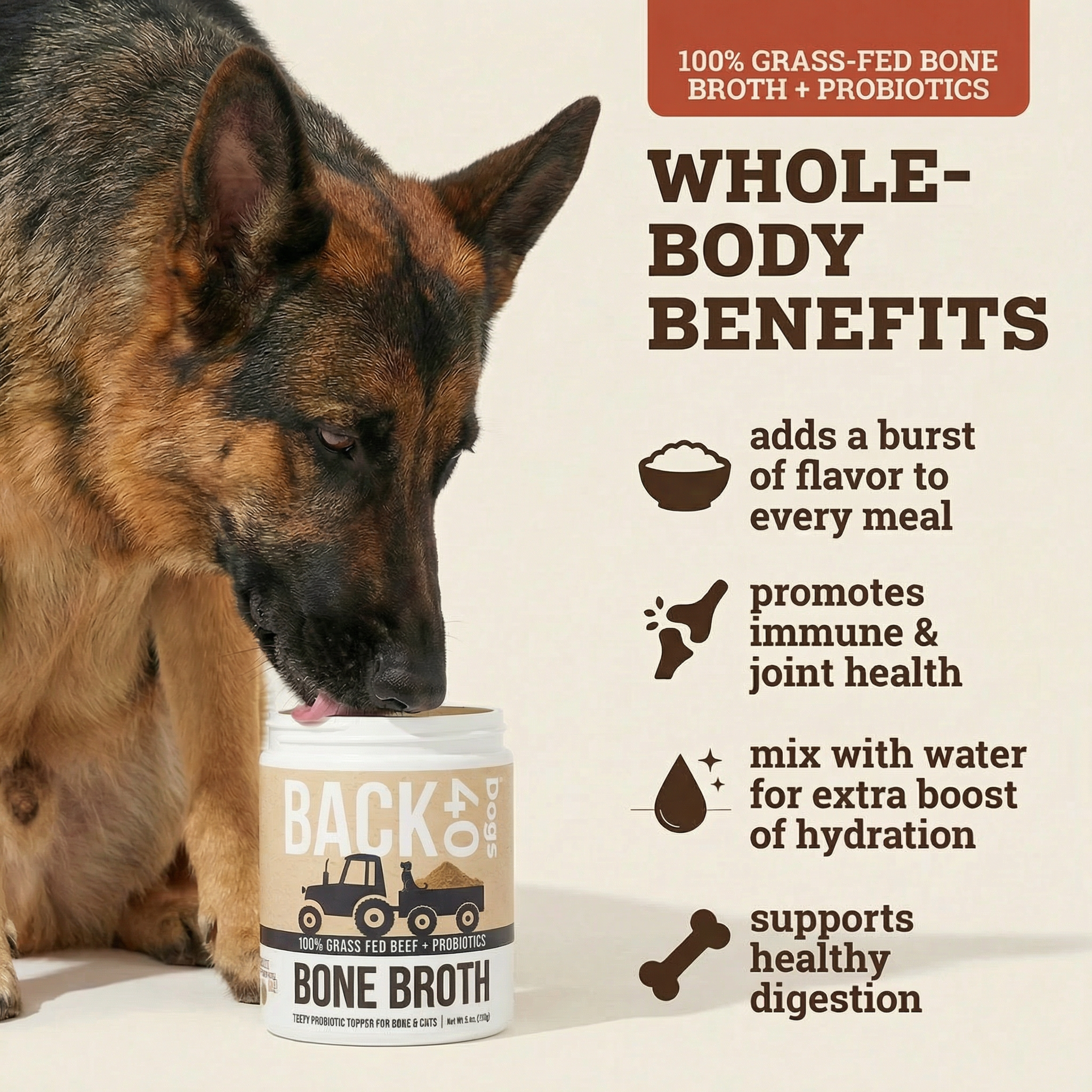 BONE BROTH PROBIOTIC
